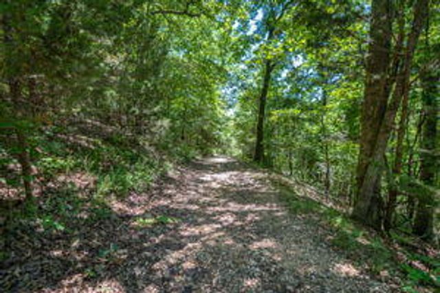 527 Notch Lane 10, Branson West, MO 65737