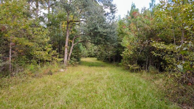 155 Goldenrod Lane, Moncks Corner, SC 29461