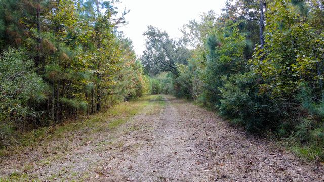 155 Goldenrod Lane, Moncks Corner, SC 29461