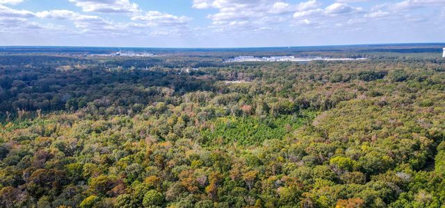 155 Goldenrod Lane, Moncks Corner, SC 29461