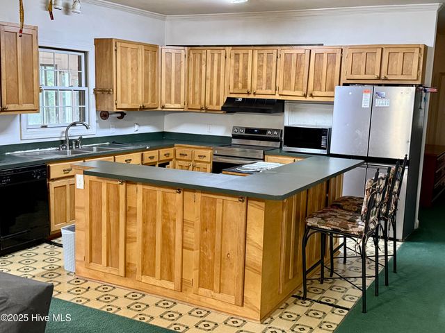109 Wilderness Drive, Pikeville, NC 27863