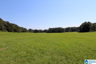 0 WILSON ROAD, Clanton, AL 35045