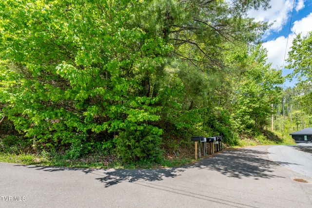 Tbd Campbell Road, Butler, TN 37640
