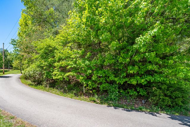 Tbd Campbell Road, Butler, TN 37640