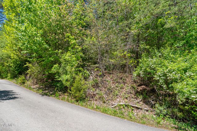 Tbd Campbell Road, Butler, TN 37640