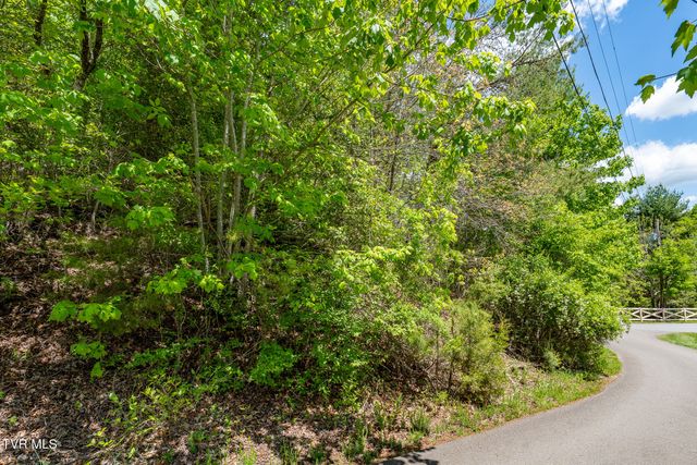 Tbd Campbell Road, Butler, TN 37640