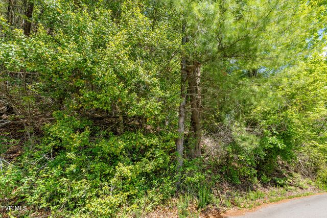 Tbd Campbell Road, Butler, TN 37640