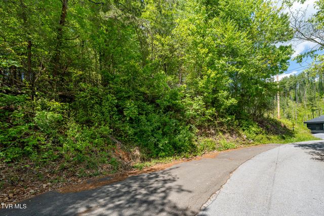 Tbd Campbell Road, Butler, TN 37640