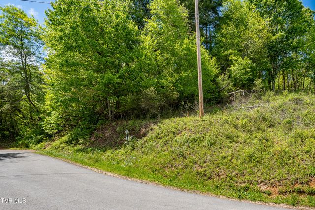 Tbd Campbell Road, Butler, TN 37640
