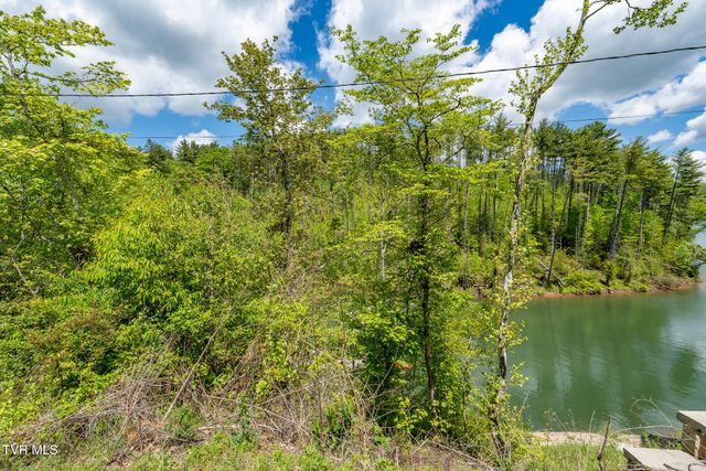 Tbd Campbell Road, Butler, TN 37640