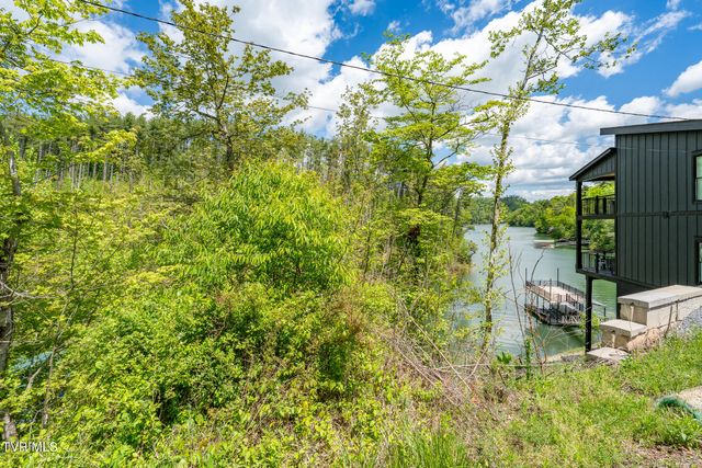 Tbd Campbell Road, Butler, TN 37640