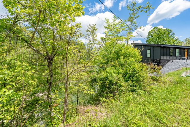 Tbd Campbell Road, Butler, TN 37640