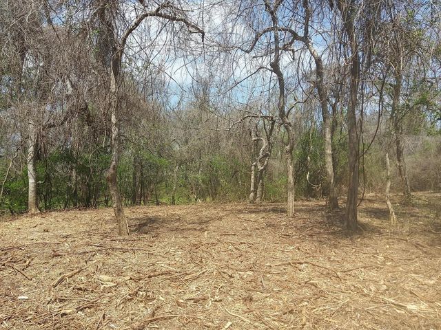 Lot 2 Fm 521, Angleton, TX 77515