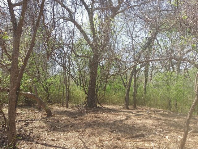 Lot 2 Fm 521, Angleton, TX 77515