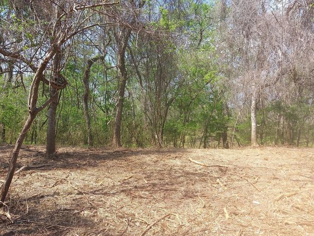 Lot 2 Fm 521, Angleton, TX 77515