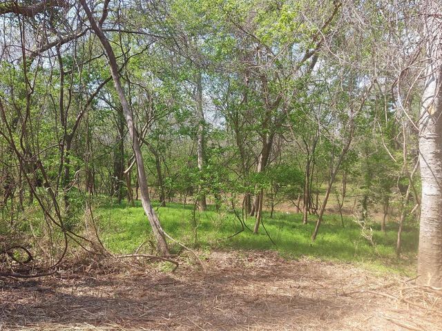Lot 2 Fm 521, Angleton, TX 77515