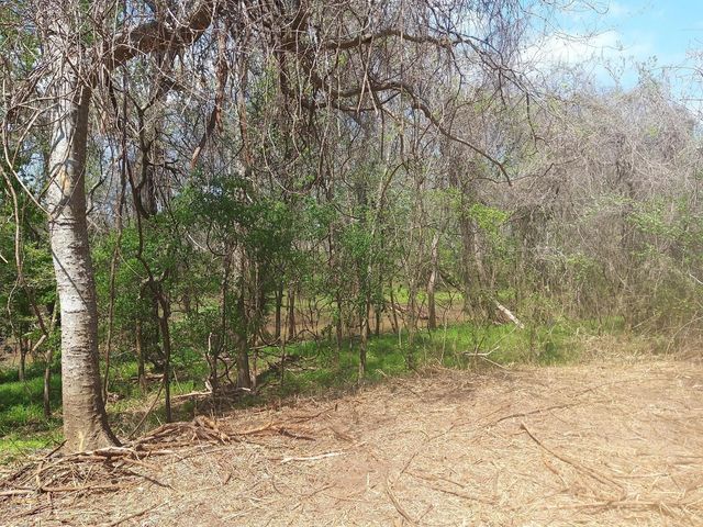 Lot 2 Fm 521, Angleton, TX 77515