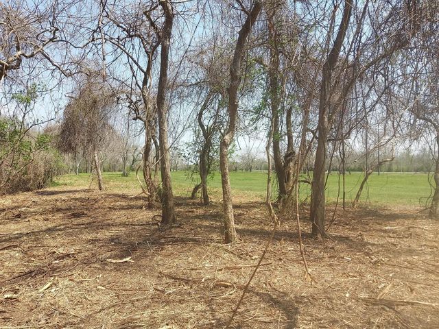 Lot 2 Fm 521, Angleton, TX 77515