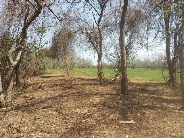 Lot 2 Fm 521, Angleton, TX 77515