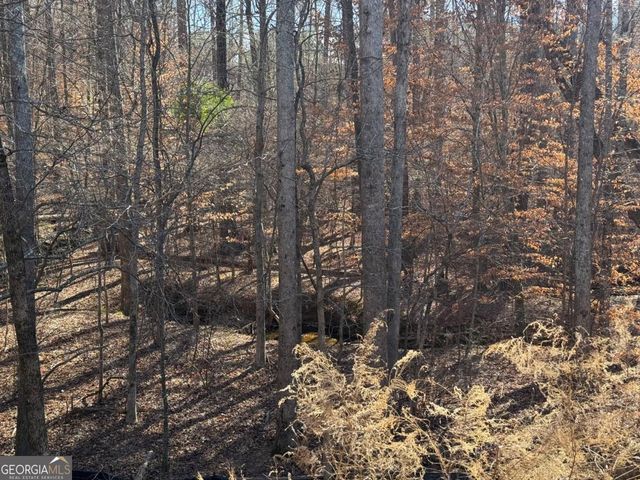 212 Huntington Shoals Drive, Athens, GA 30606