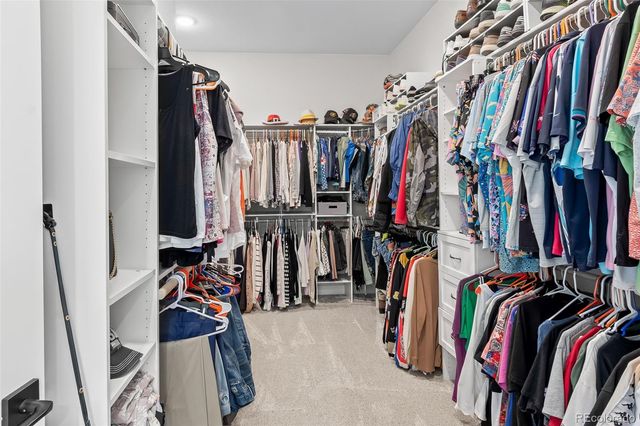 1881 Blossom Grove Drive, Windsor, CO 80550