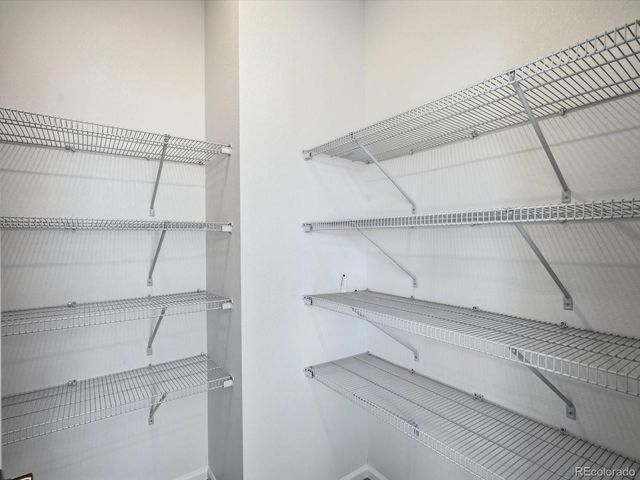 1608 Rumley Creek Drive, Windsor, CO 80550