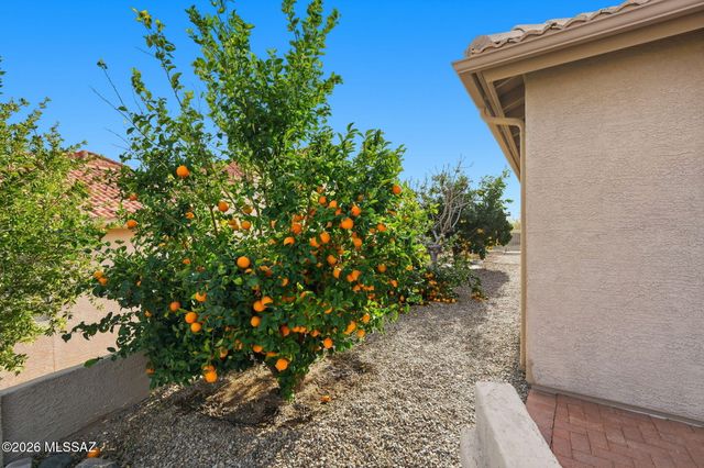 65187 E Desert Sands Court, Tucson, AZ 85739