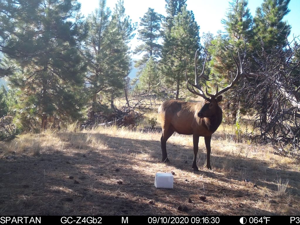 19 September Drive, Clancy, MT 59634 photo 79