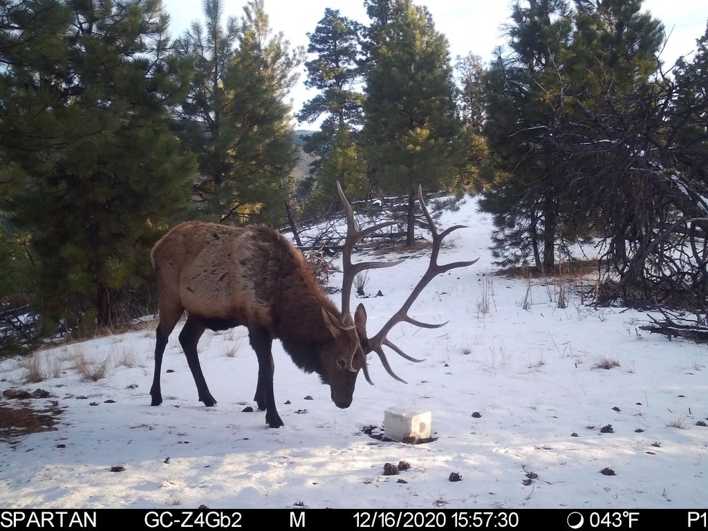 19 September Drive, Clancy, MT 59634 photo 80