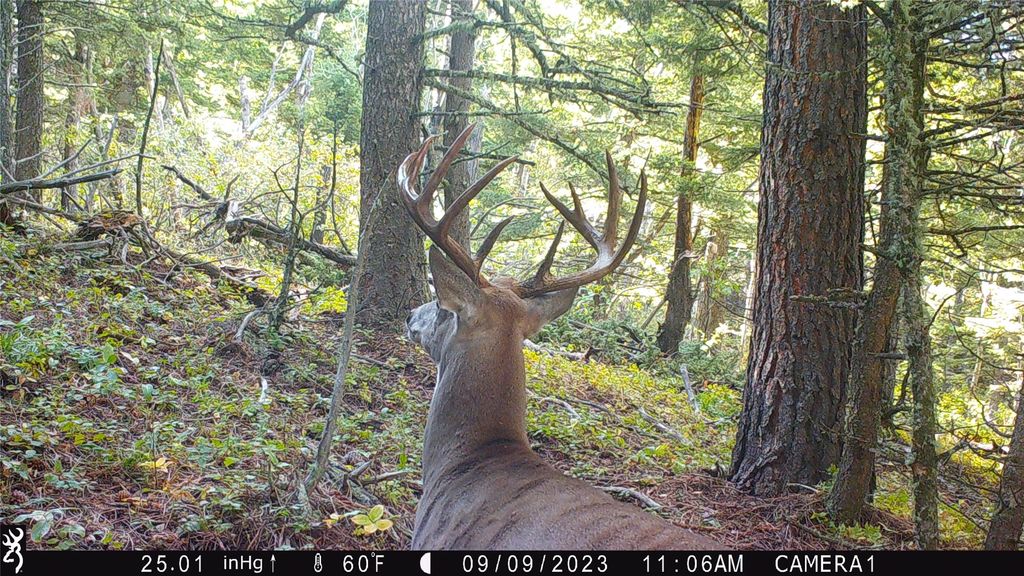 19 September Drive, Clancy, MT 59634 photo 81