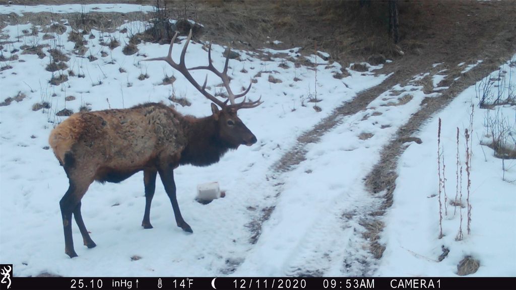 19 September Drive, Clancy, MT 59634 photo 82