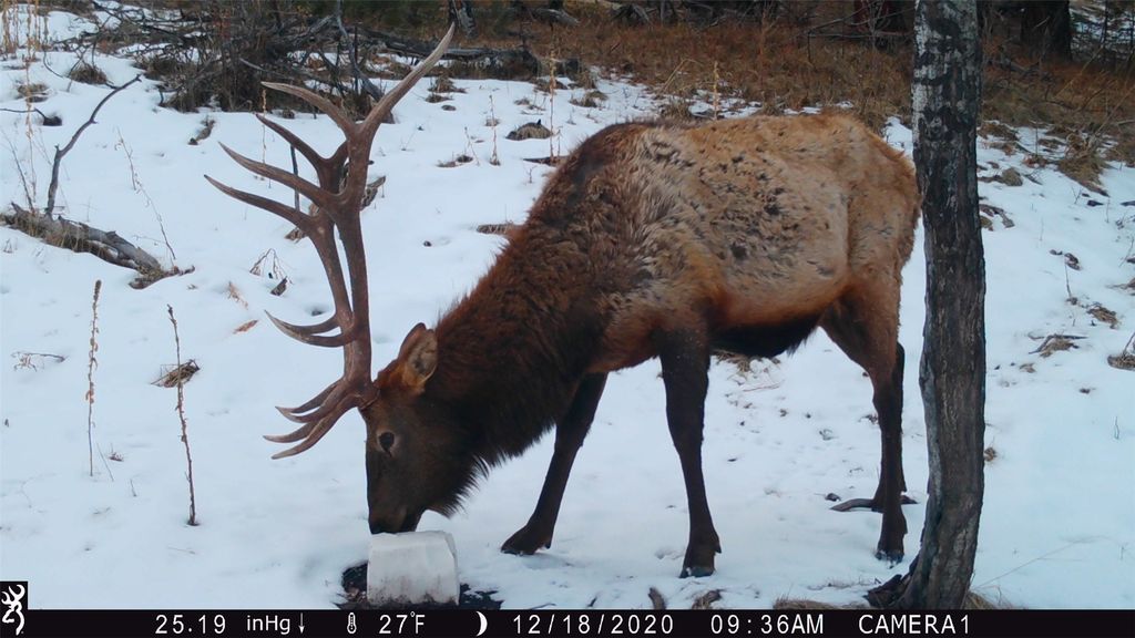 19 September Drive, Clancy, MT 59634 photo 84