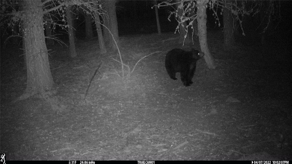 19 September Drive, Clancy, MT 59634 photo 85