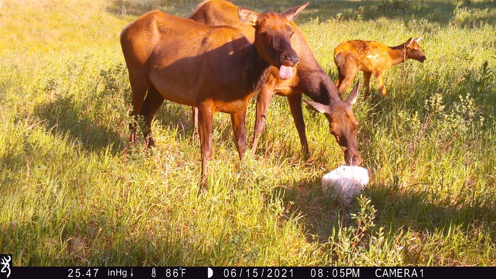 19 September Drive, Clancy, MT 59634 photo 89