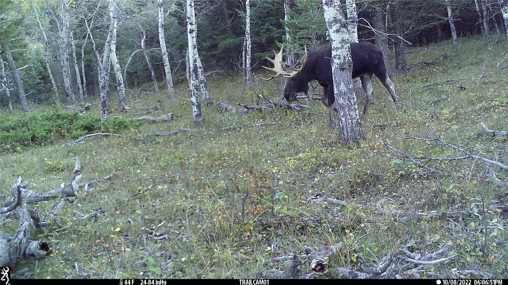 19 September Drive, Clancy, MT 59634 photo 90