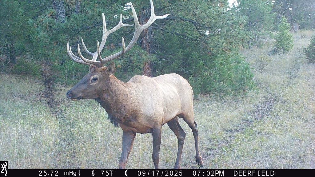 19 September Drive, Clancy, MT 59634 photo 92