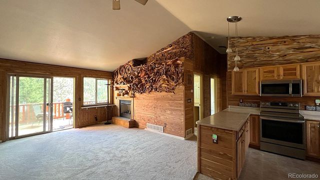 303 Virginia Road E, Bailey, CO 80421