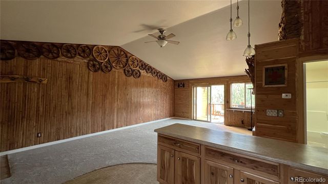 303 Virginia Road E, Bailey, CO 80421