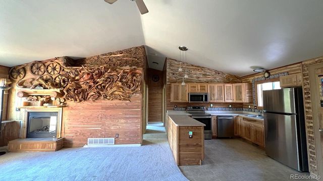 303 Virginia Road E, Bailey, CO 80421