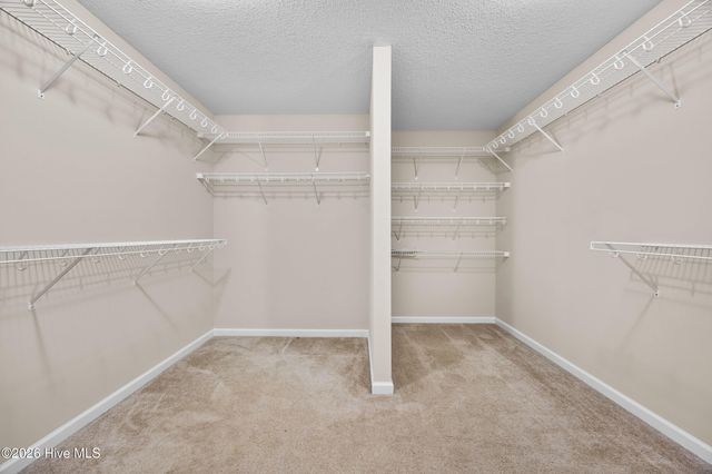 827 Solomon Drive, Jacksonville, NC 28546