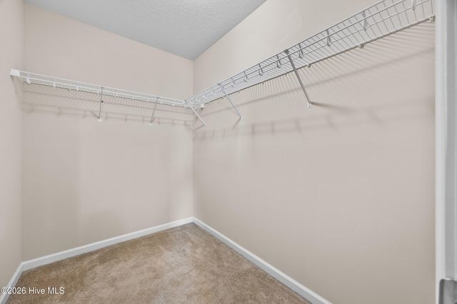 827 Solomon Drive, Jacksonville, NC 28546