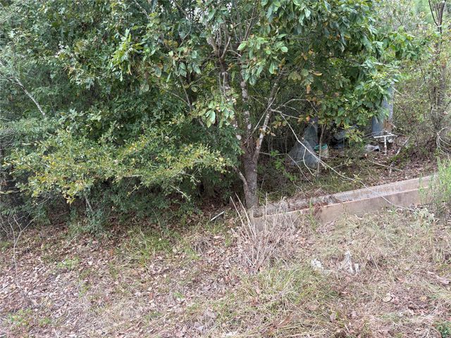150 Loraine B Road, Point Blank, TX 77364