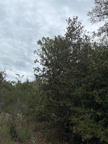 150 Loraine B Road, Point Blank, TX 77364