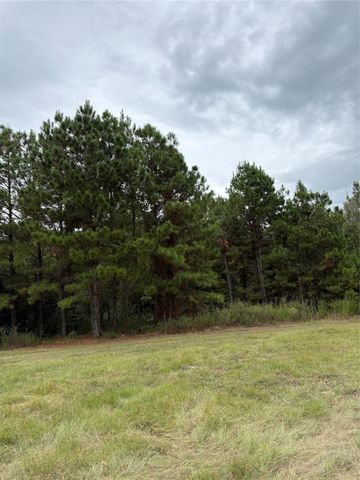 150 Loraine B Road, Point Blank, TX 77364