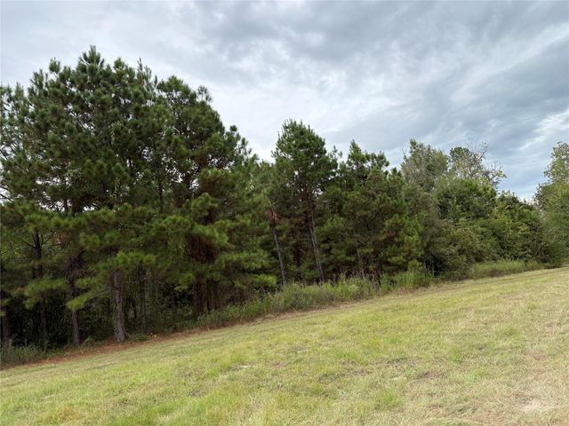 150 Loraine B Road, Point Blank, TX 77364