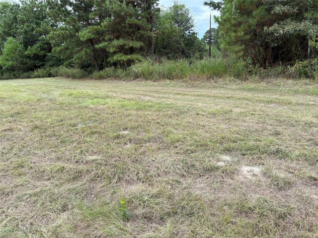 150 Loraine B Road, Point Blank, TX 77364