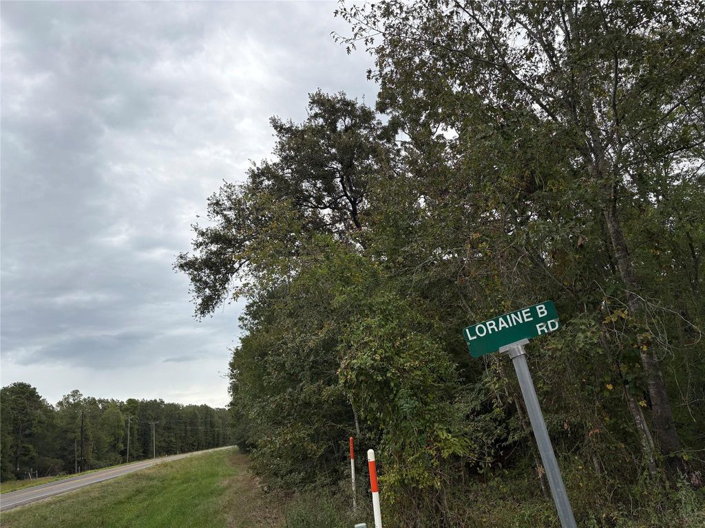 150 Loraine B Road, Point Blank, TX 77364