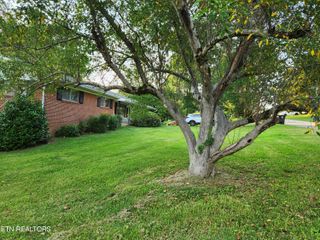 1107 Towanda Tr, Athens, TN 37303