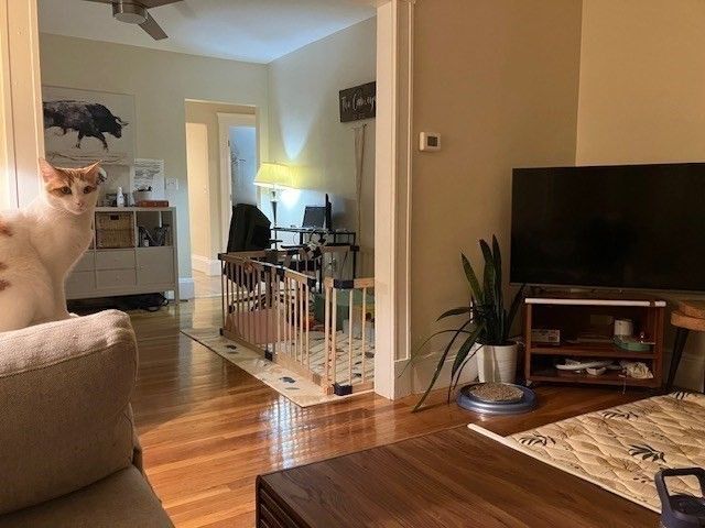 42 Conwell Ave 1, Somerville, MA 02145