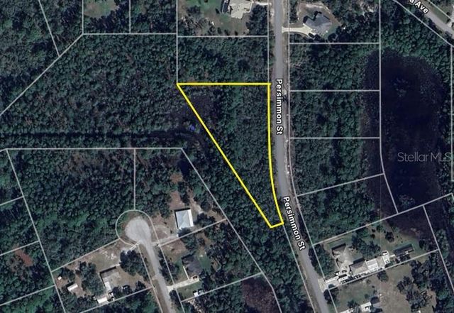 LOT 11 PERSIMMON STREET, Eustis, FL 32736